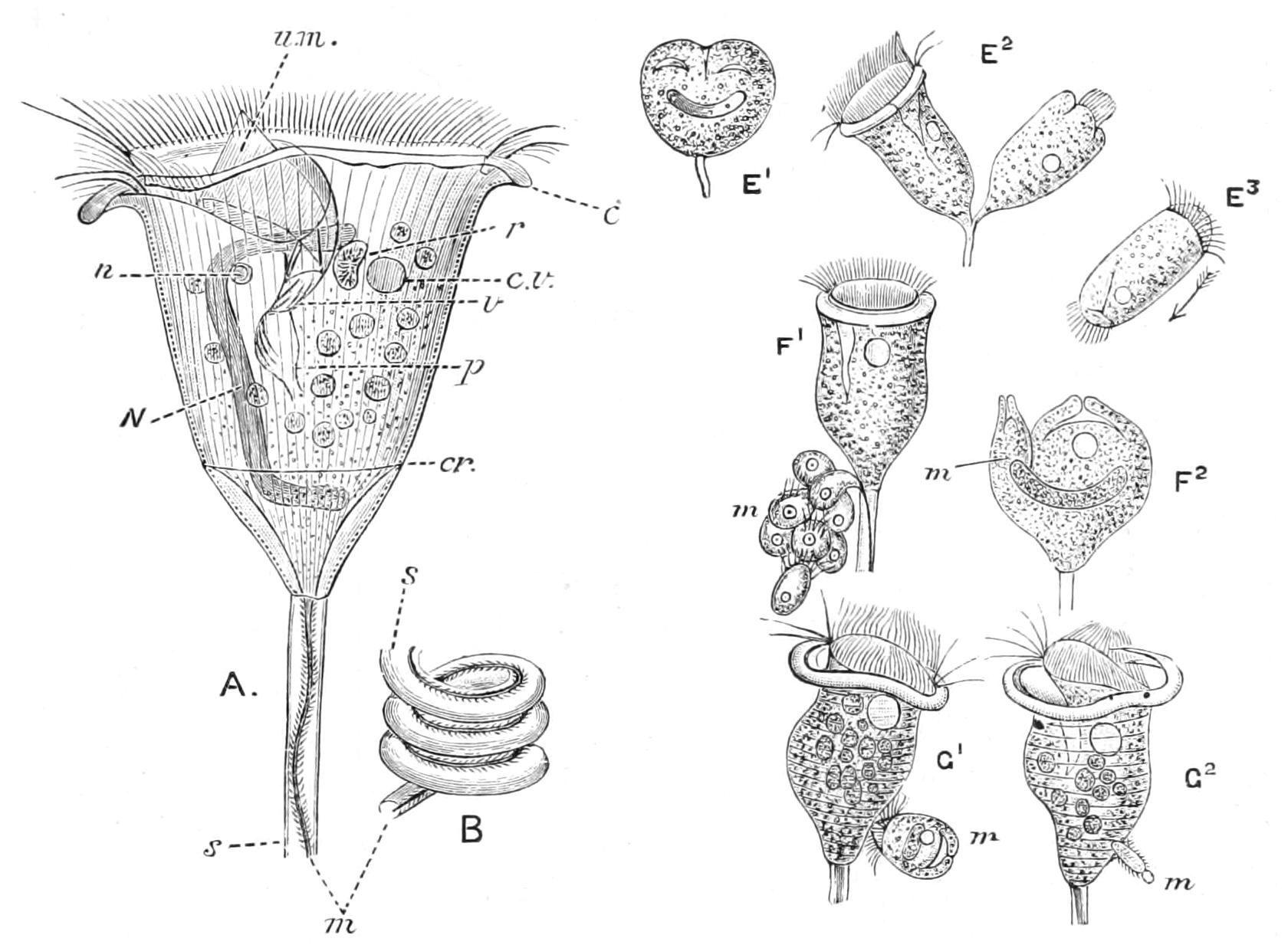 fig60