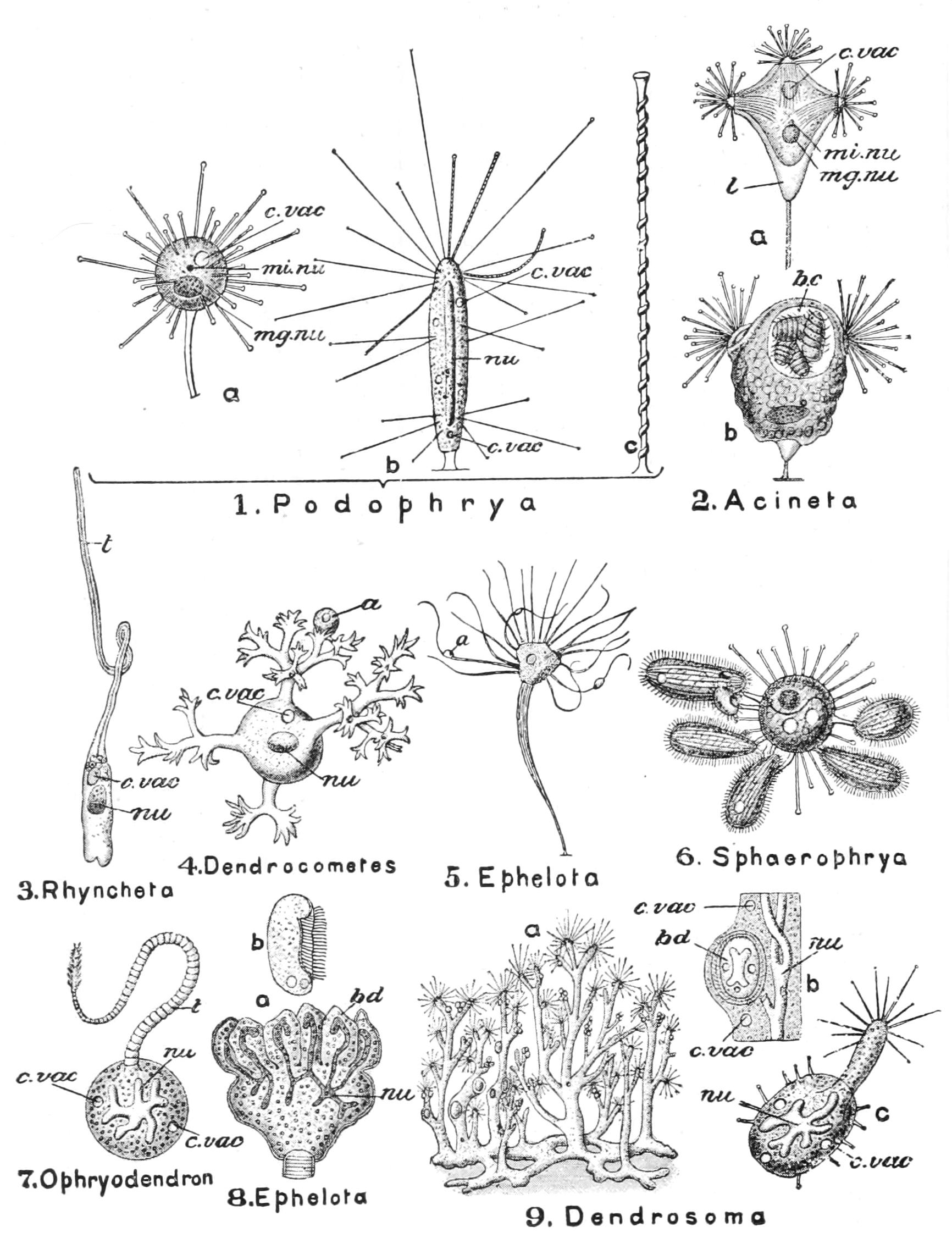 fig61
