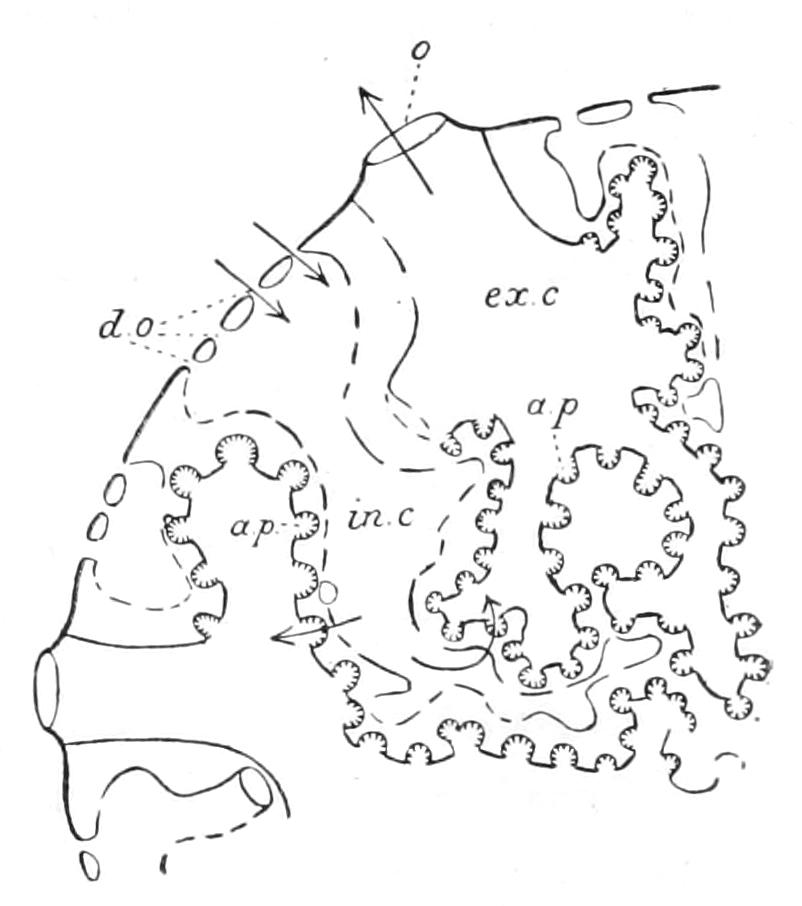 fig65