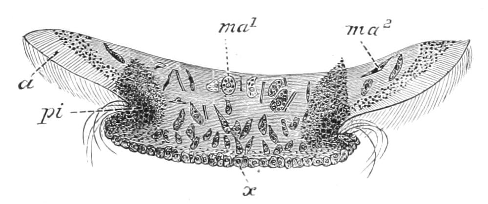 fig68