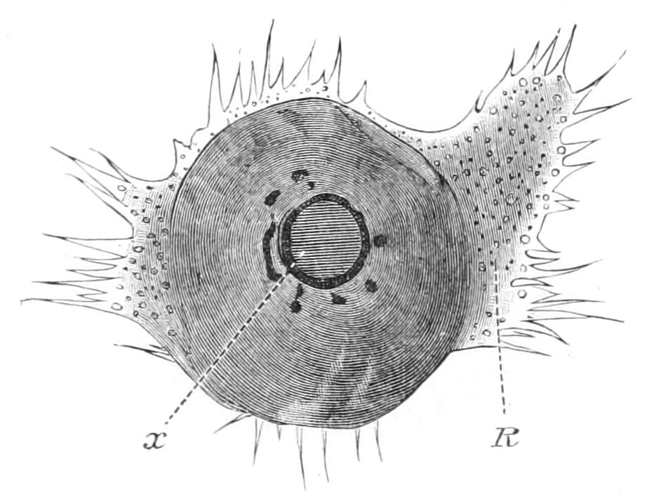 fig69