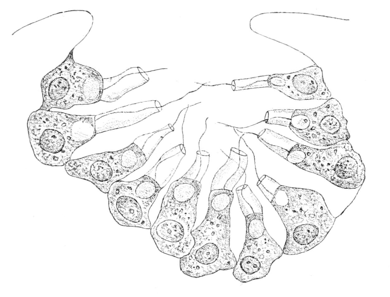 fig70