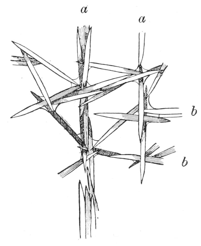 fig71