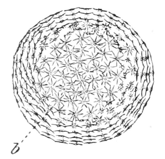 fig73