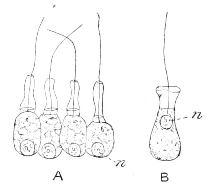 fig77