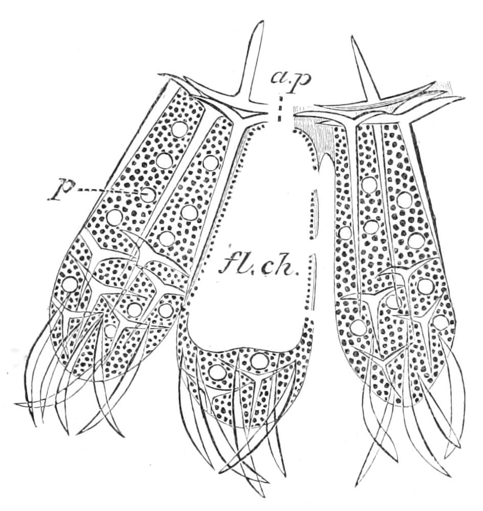 fig78
