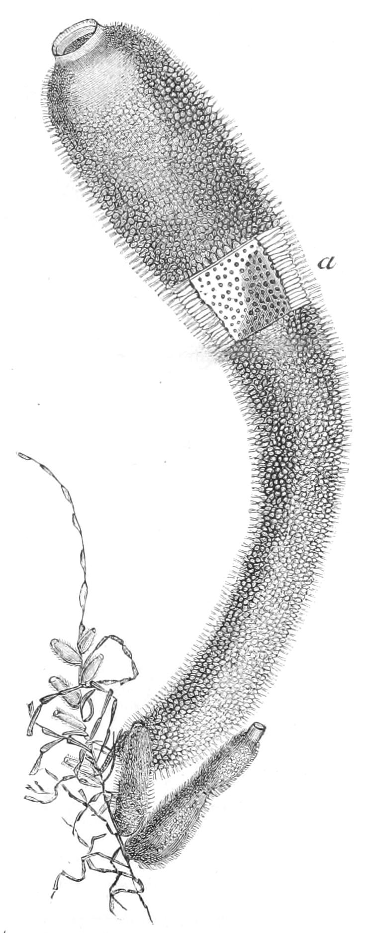 fig79