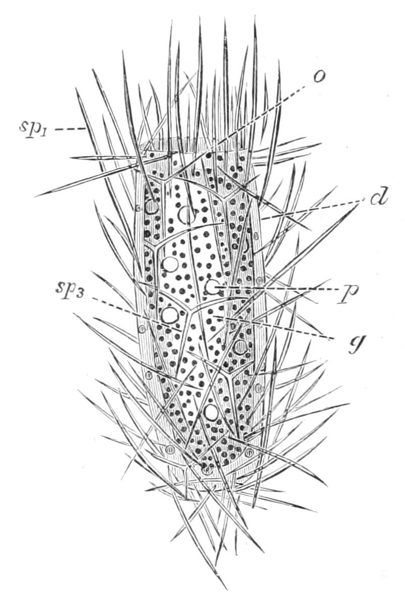 fig80