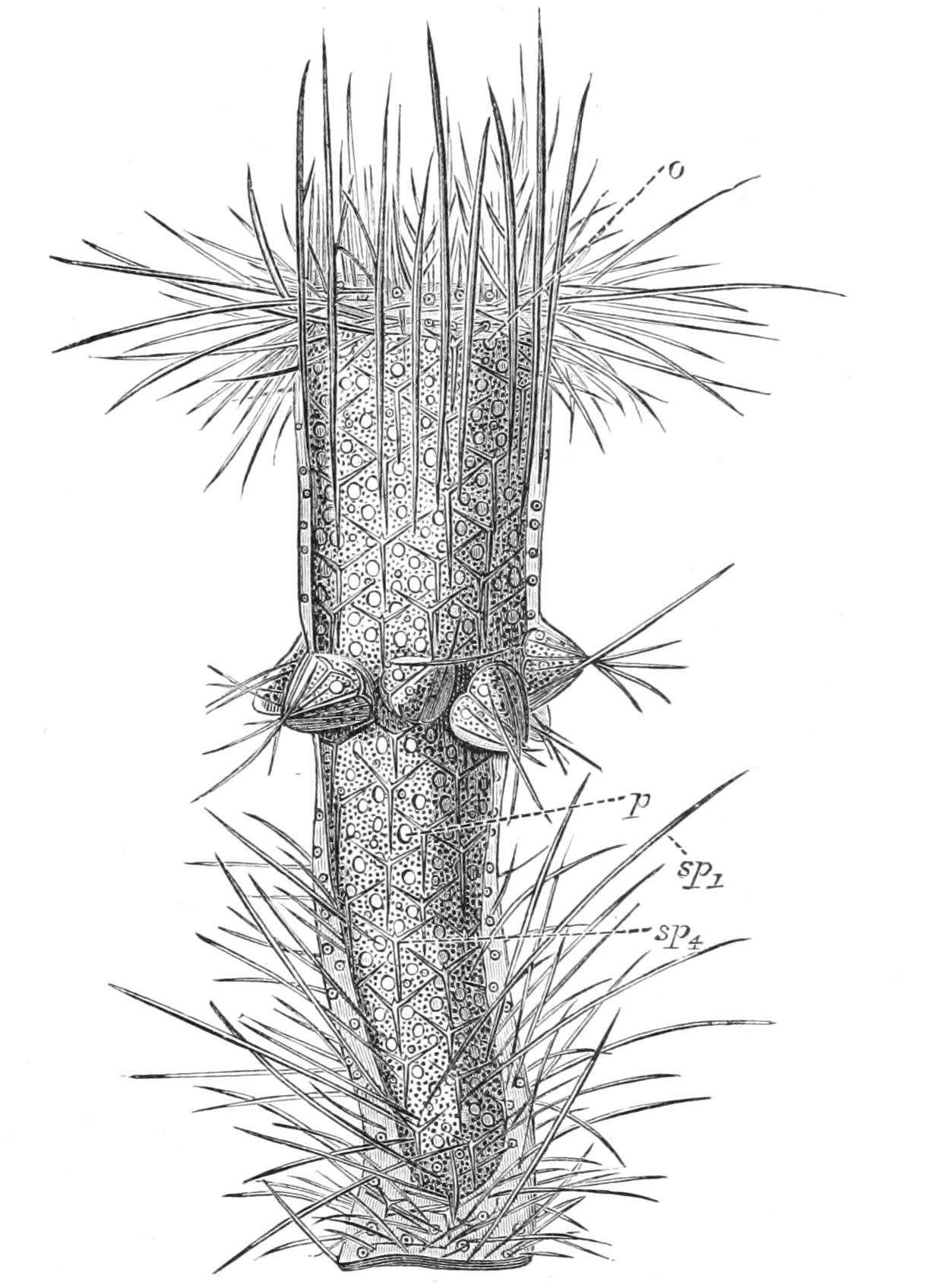 fig81