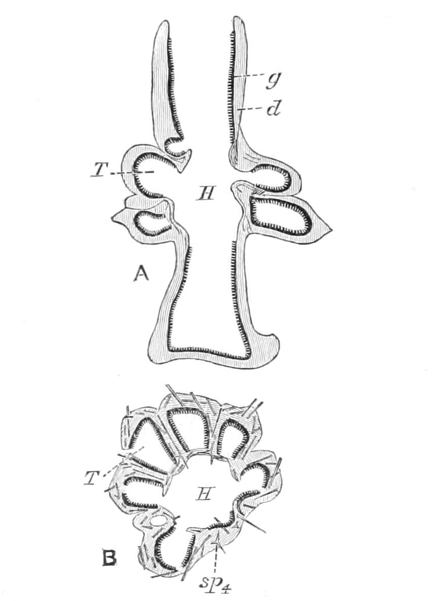 fig82