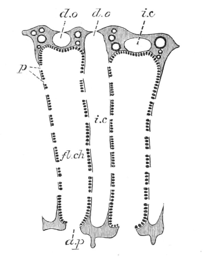 fig83