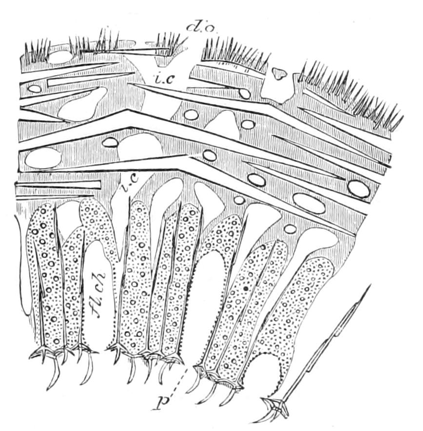 fig84
