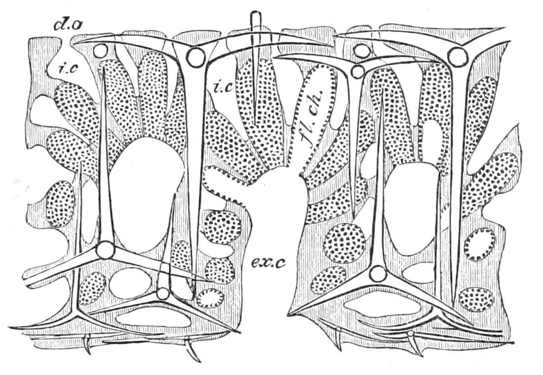 fig85