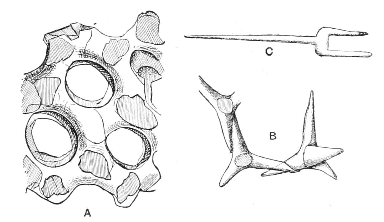 fig86