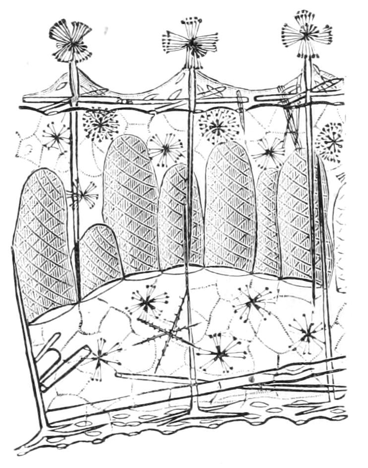 fig90