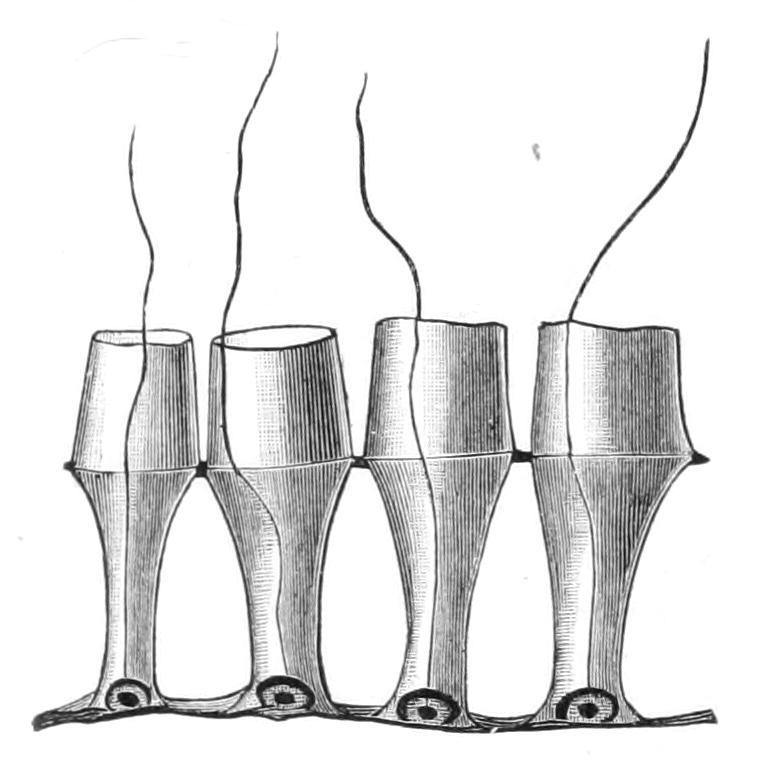 fig91