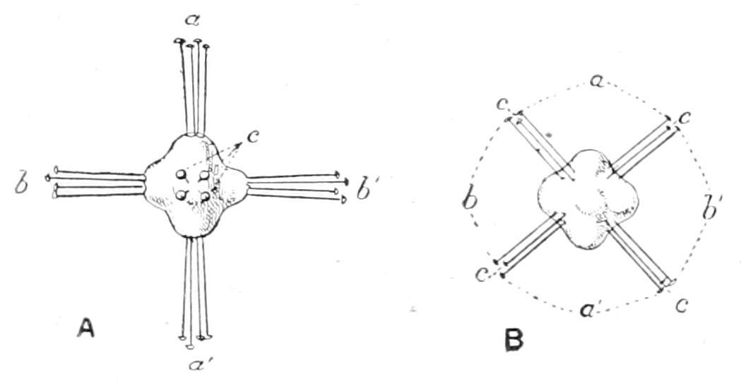 fig92