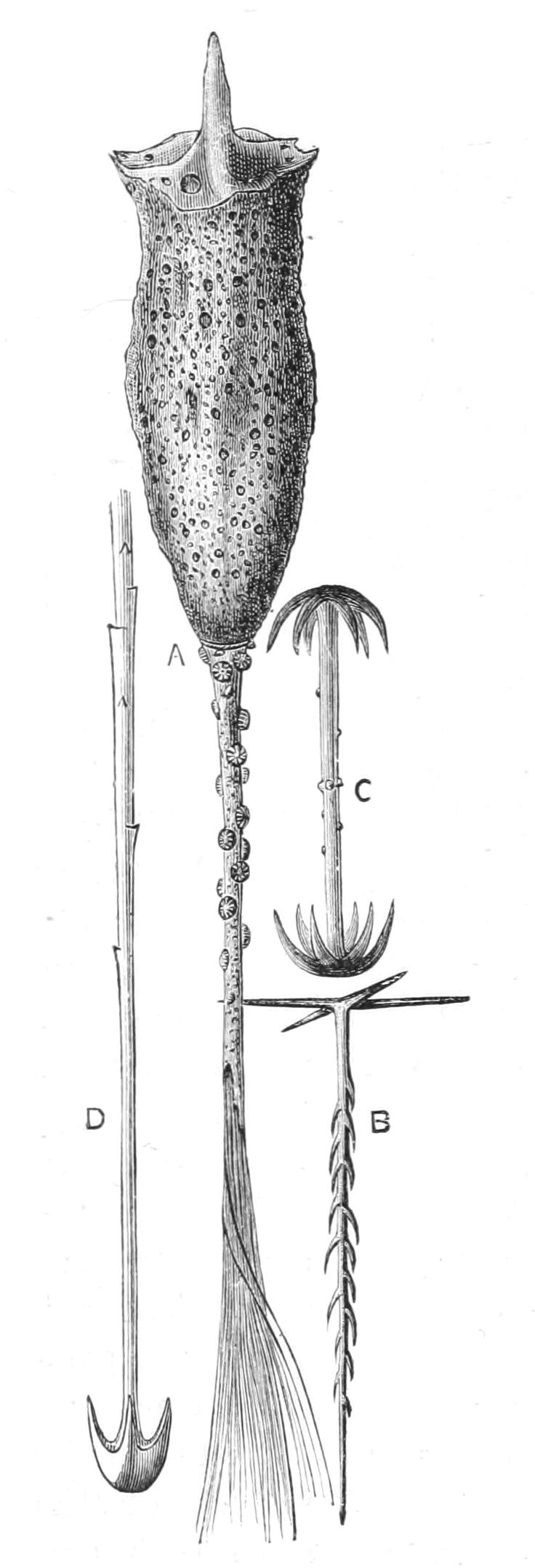 fig97