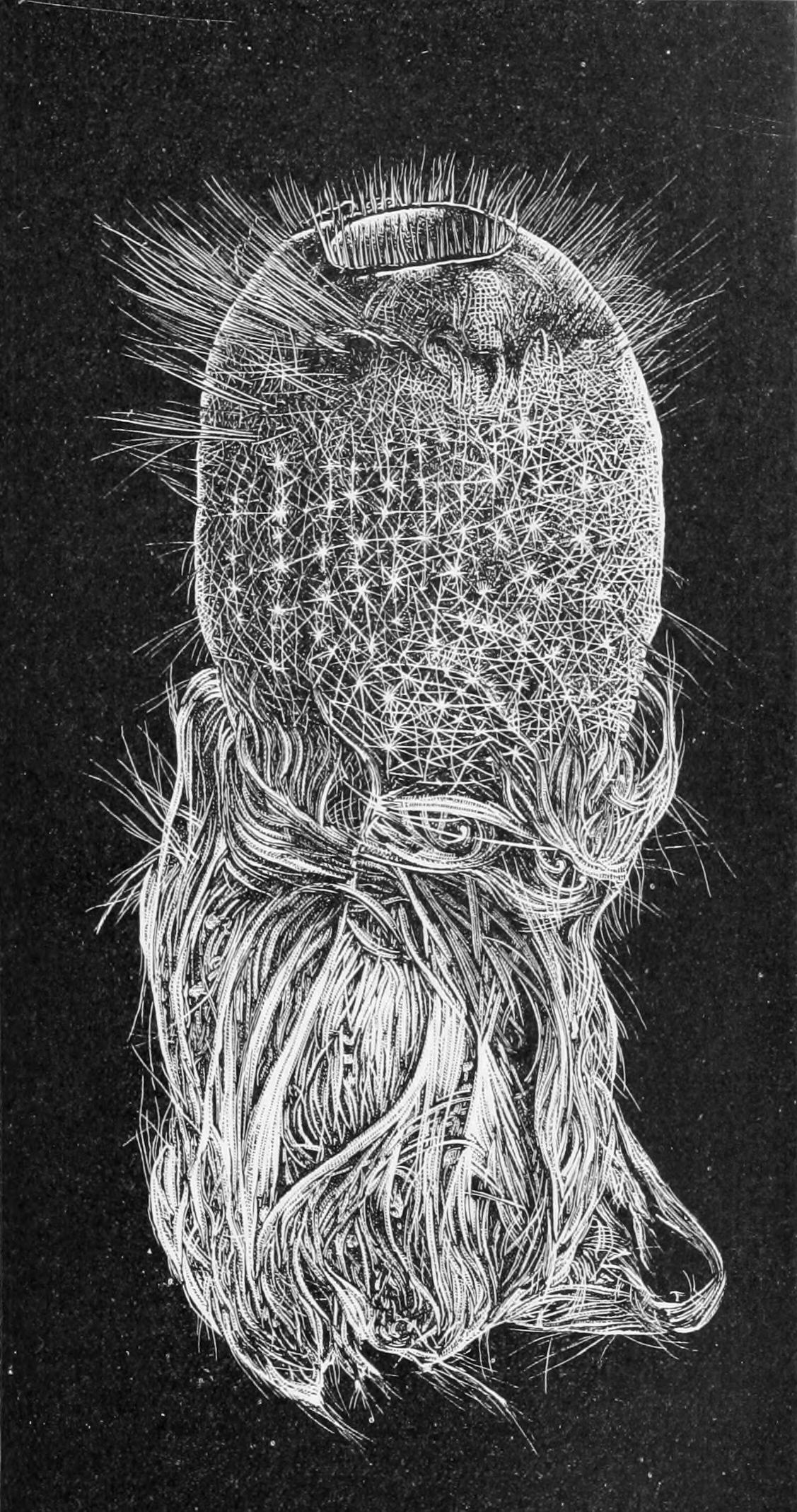 fig98