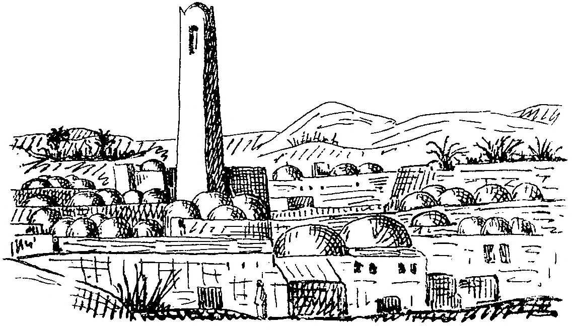 [Illustration]
