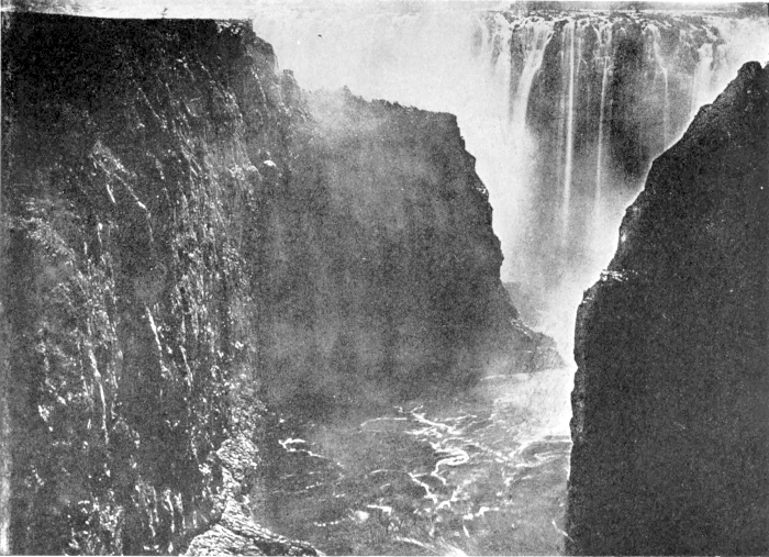 zambesi