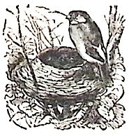 image003