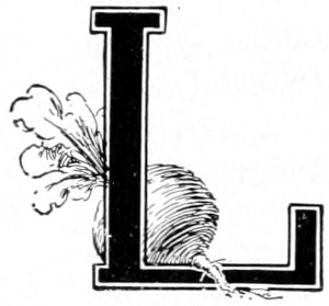 L