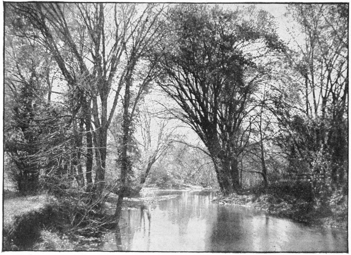 Quiet waters