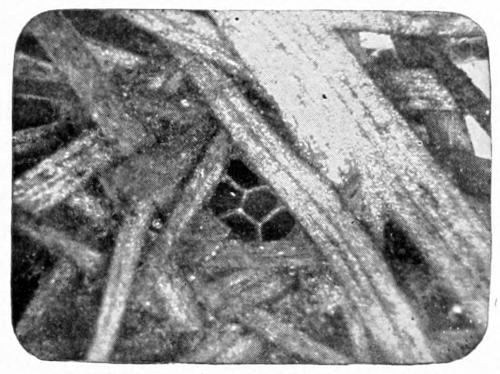 Silk grating