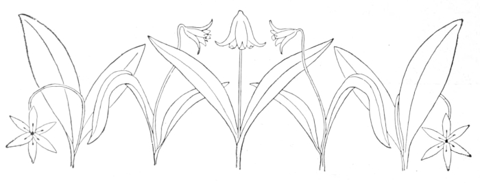 Embroidery design