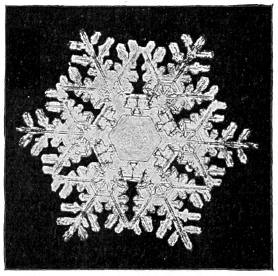 Snow crystal
