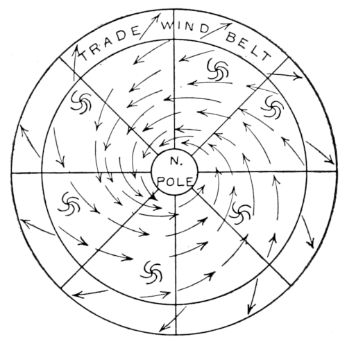 circumpolar whirl