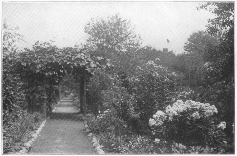 XII. The back yard, with
heavy flower-garden planting.