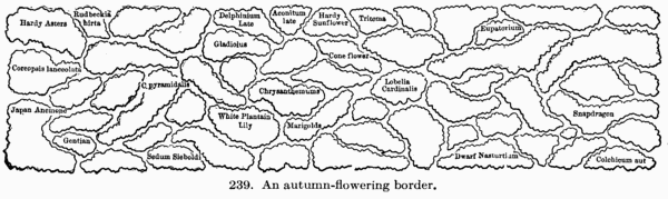 [Illustration: Fig. 239. An
autumn-flowering border.]