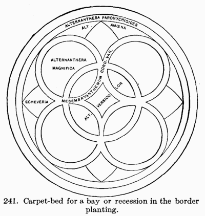 [Illustration: Fig. 241. Carpet-bed for a bay
or recession in the border planting.]