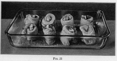 [Illustration: FIG. 21]